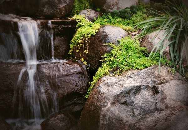 Outdoor Waterfall Installation